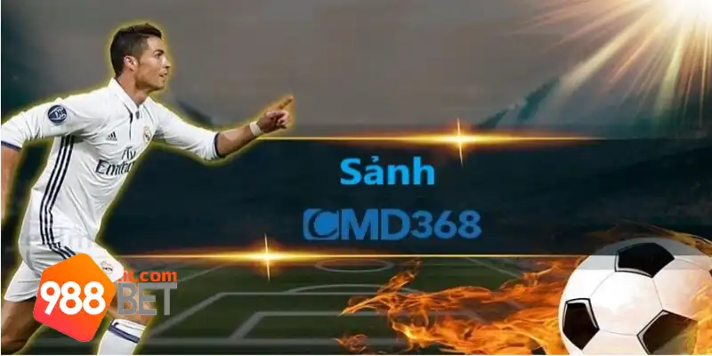 Tổng quan về nhà cung cấp CMD368 988Bet