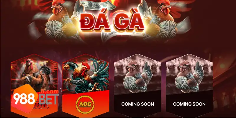 Giới thiệu sảnh đá gà 988Bet