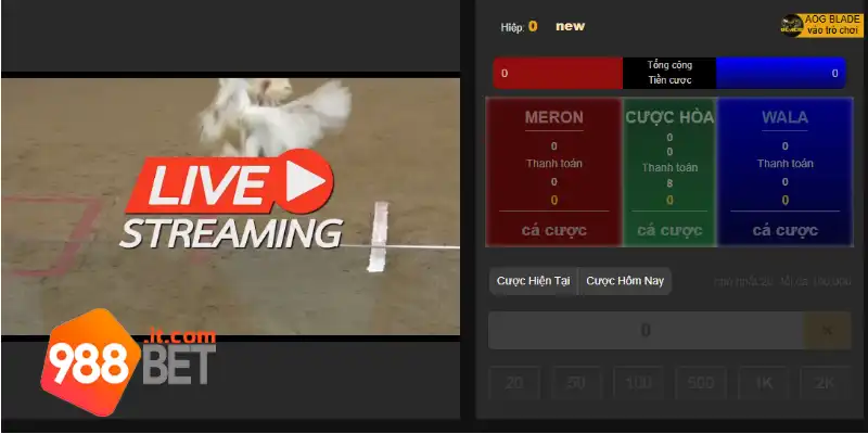 Xem trực tiếp đá gà chất lượng cao tại 988Bet
