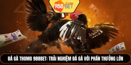 Đá Gà Thomo 988Bet